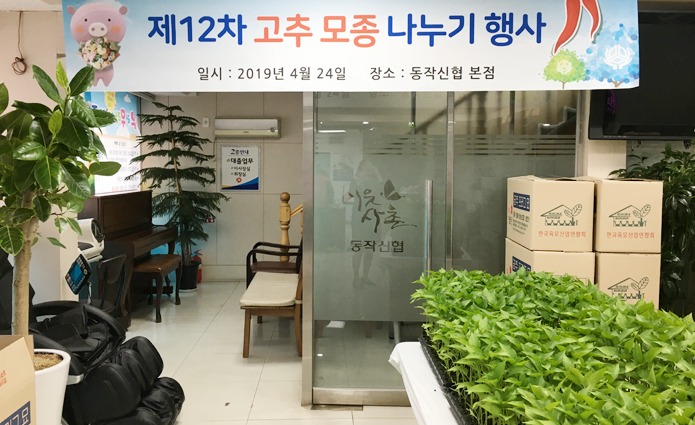 고추모종 나누기 행사.jpg