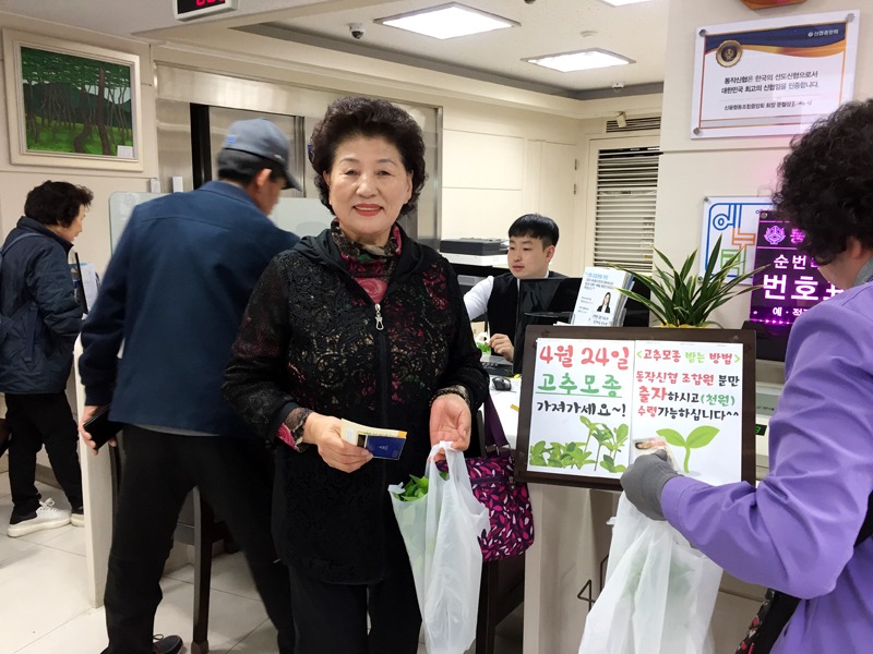 2018 고추모종나누기 (4)_up.jpg
