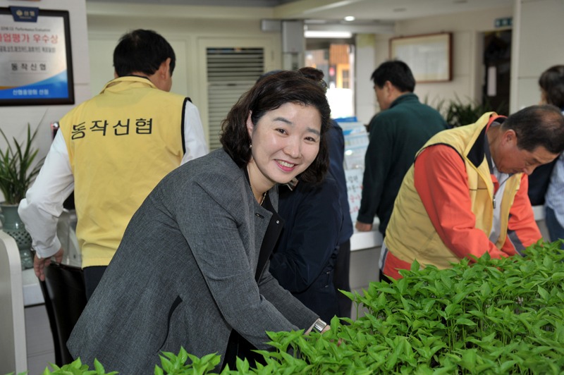 2017고추모종05.jpg