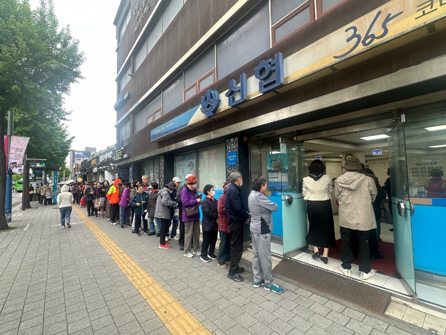 20240425_고추모종 나누기.jpg