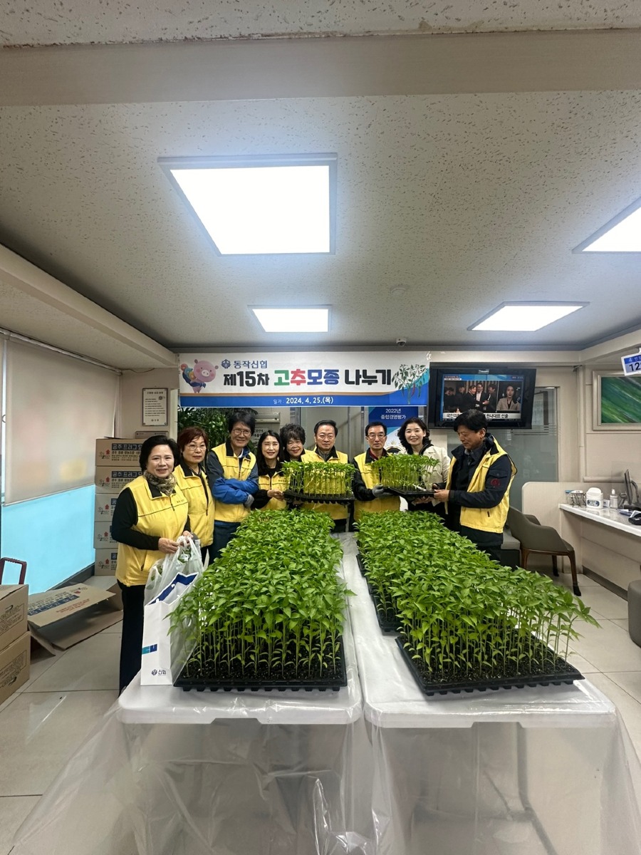 20240425_고추모종나누기2.jpg